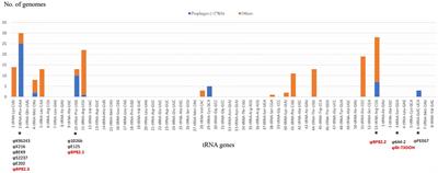 A comprehensive study of prophage islands in Burkholderia pseudomallei complex